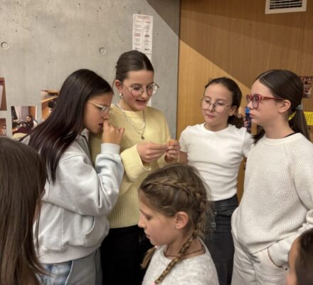 Schatzscuhe Zettler lesen Schatzscuhe Zettler lesen