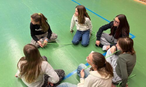 Challenges in gemischten Teams Challenges in gemischten Teams